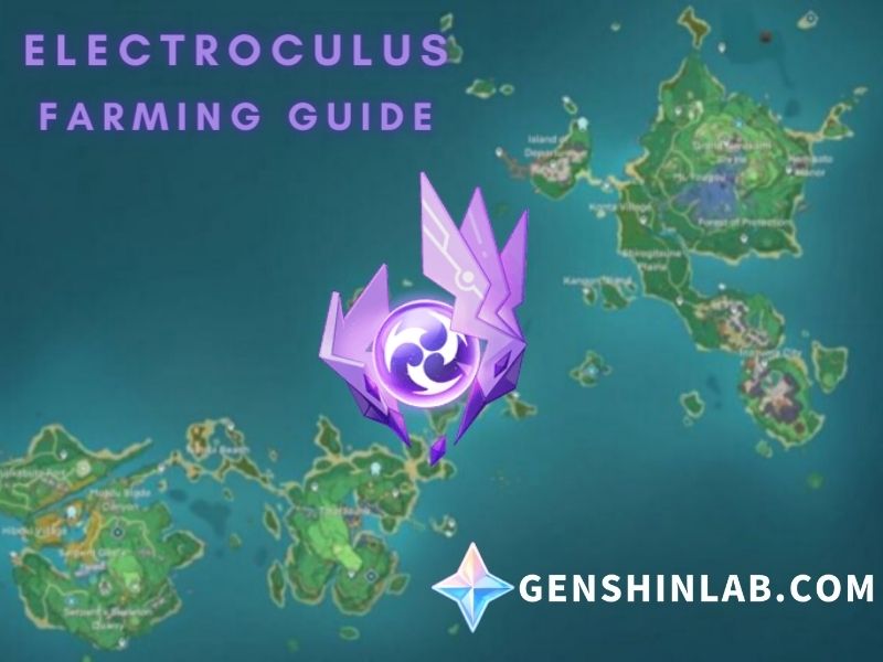 Genshin_Electroculus_Farming_guide