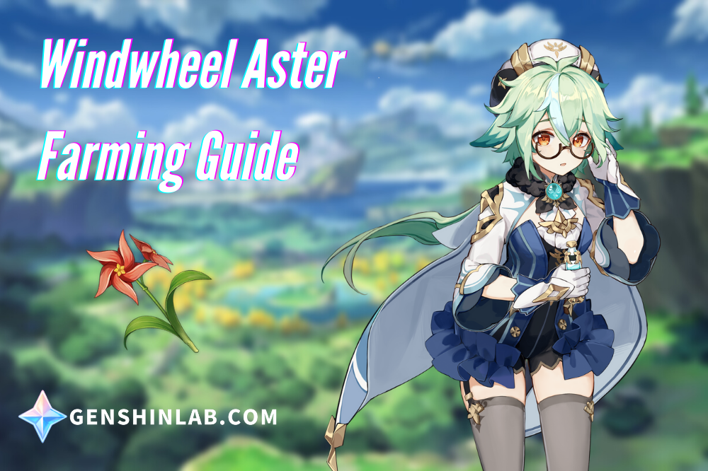 Genshin Impact Windwheel Aster Farming Routes (Ascension Materials For Sucrose)