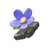 tiny_miracle_flower